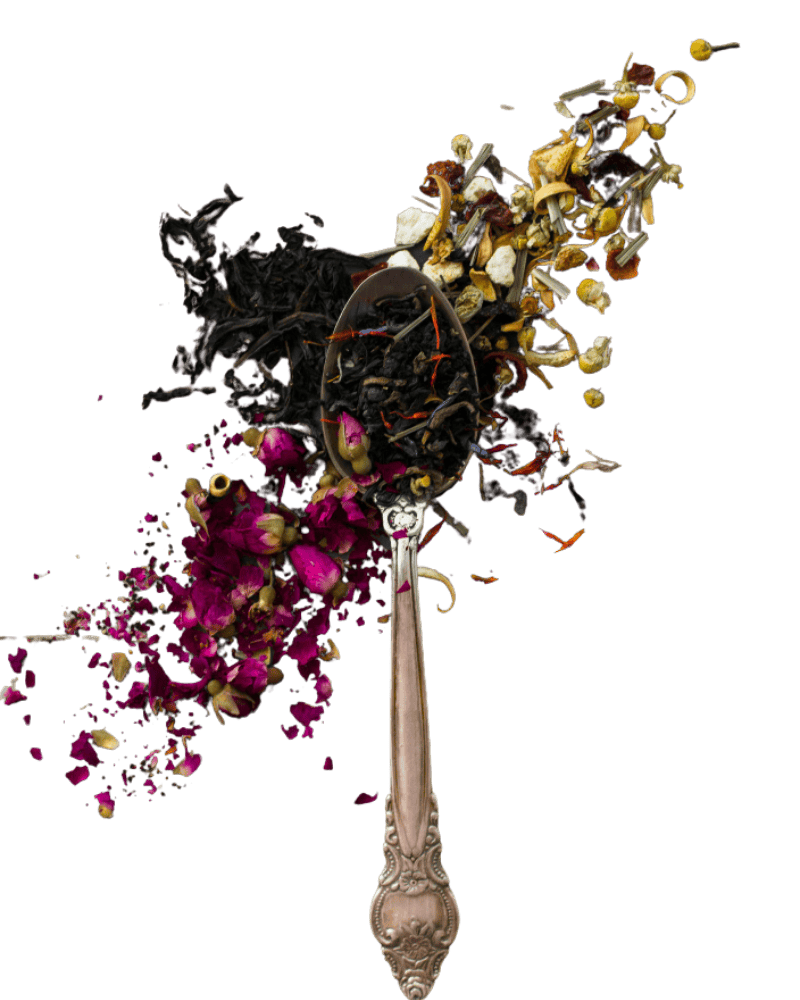 herbs - Chinese Herbal Medicine - Acupuncture